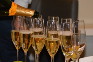 wine_glass_drink_bottle_wine_bottle_party_champagne_alcoholic_beverage_drinkware_champagne_stemware_1112174.jpg