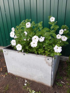 20190720_111703.jpg