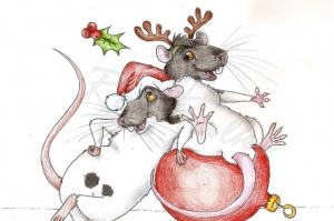 kak_narisovat_krysu_karandashom_pojetapno_na_novyj_god.jpg