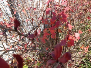 20191008_142001.jpg