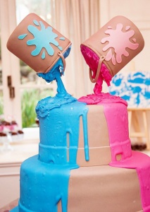 f19cd30648be6701ac3d51e0ed1d8c24__gender_party_gender_reveal_parties.jpg