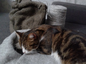 20181211_214044.jpg