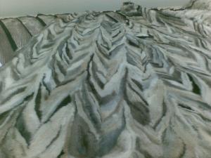 07122011_003_.jpg