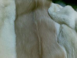 07122011_010_.jpg