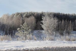 IMG_6539.JPG