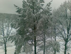 01012012_002_.jpg
