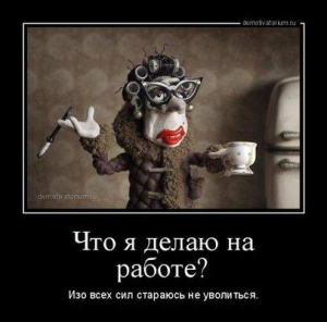 sobaka_shredingera_i_drugie_demotivatory_na_vtornik_3.jpg