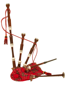 pic_06.png