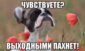 img56a2029276969.jpg
