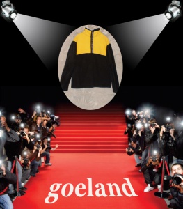 goeland.jpg