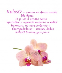 Koles_.jpg