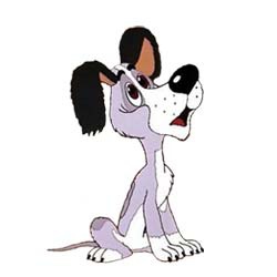 dog4.jpg