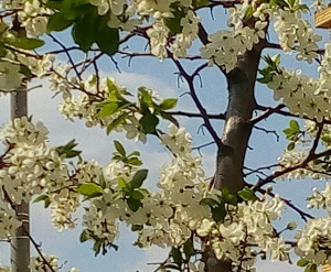 IMAG2640_1.jpg