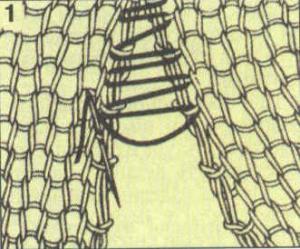 post-30664-1446643321_thumb.jpg