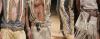 post-3155-1173263071_thumb.jpg