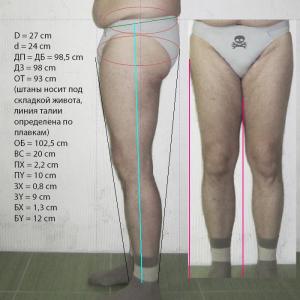 figura.jpg