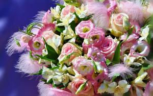 artleo.com_83596.jpg