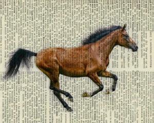 86141378879C86CA93B21B93851A86CE_B1280_1280_800_640.JPEG