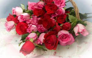 roses_flowers_lot_basket_66881_1920x1200.jpg