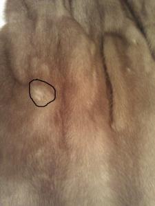 post-34574-1351706885_thumb.jpg