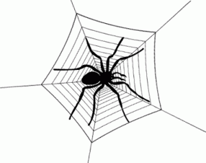 spider.gif