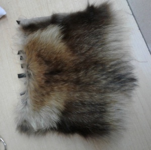 20191120_175821.jpg