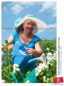 pozhilaya_zhenschina_polivaet_tsvety_v_sadu_0001814140_preview.jpg