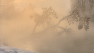 780066_main.jpg