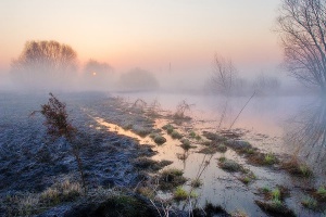 DSCN6998.JPG