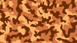 camo_camouflage_army_texture_1157.jpg