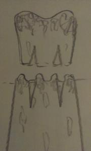 post-38601-1374521842_thumb.jpg