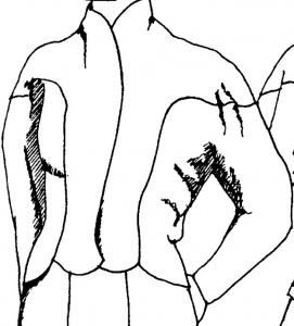 post-41406-1458750446_thumb.jpg