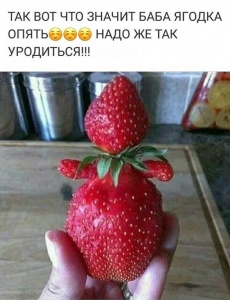 post-42275-1559363368_thumb.jpg