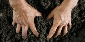 post-42830-1518098071_thumb.jpg
