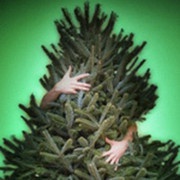 post-42830-1514303246_thumb.jpg