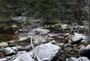 DSC09137_1.jpg