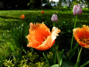 DSCN2200.JPG