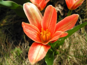 DSCN2127.jpg
