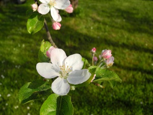 DSCN2203.JPG