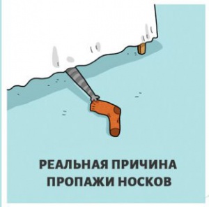 image6.jpg