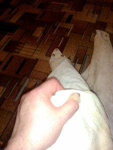 post-47617-1583844931_thumb.jpg