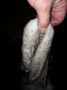 post-49487-1545052645_thumb.jpeg
