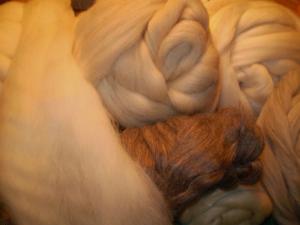 post-51-1289919891_thumb.jpg