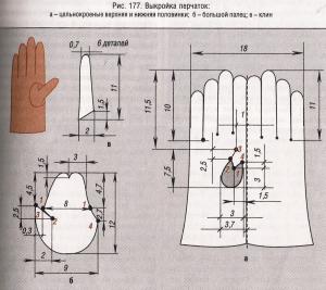 post-5140-1444227524_thumb.jpg