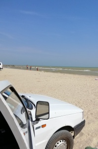 IMG_20200903_134449.jpg