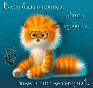 125504503_RSSRRyoSR_12.gif
