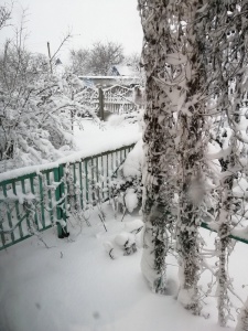 IMG_20200206_135330.jpg