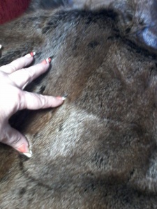 post-52979-1550909045_thumb.jpg