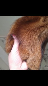 post-55970-1498769876_thumb.png