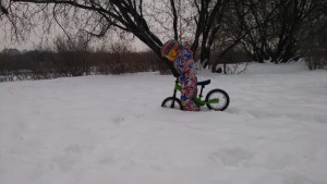 post-565-1548531342_thumb.jpg